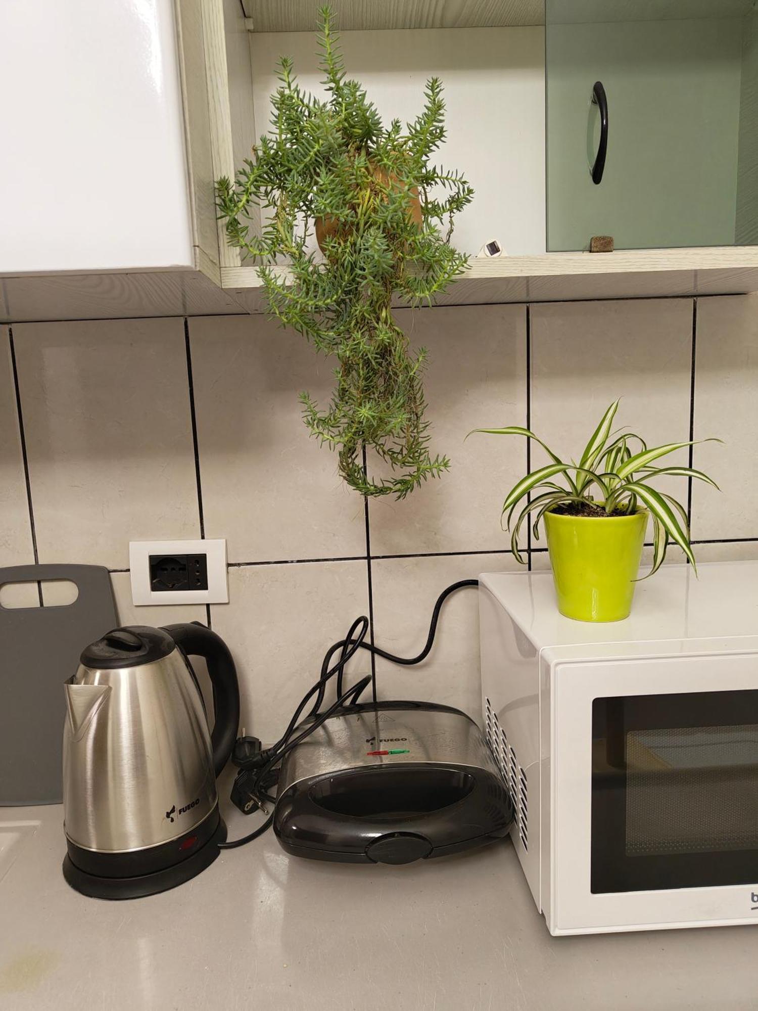 Erli Apartment Shkoder Bagian luar foto